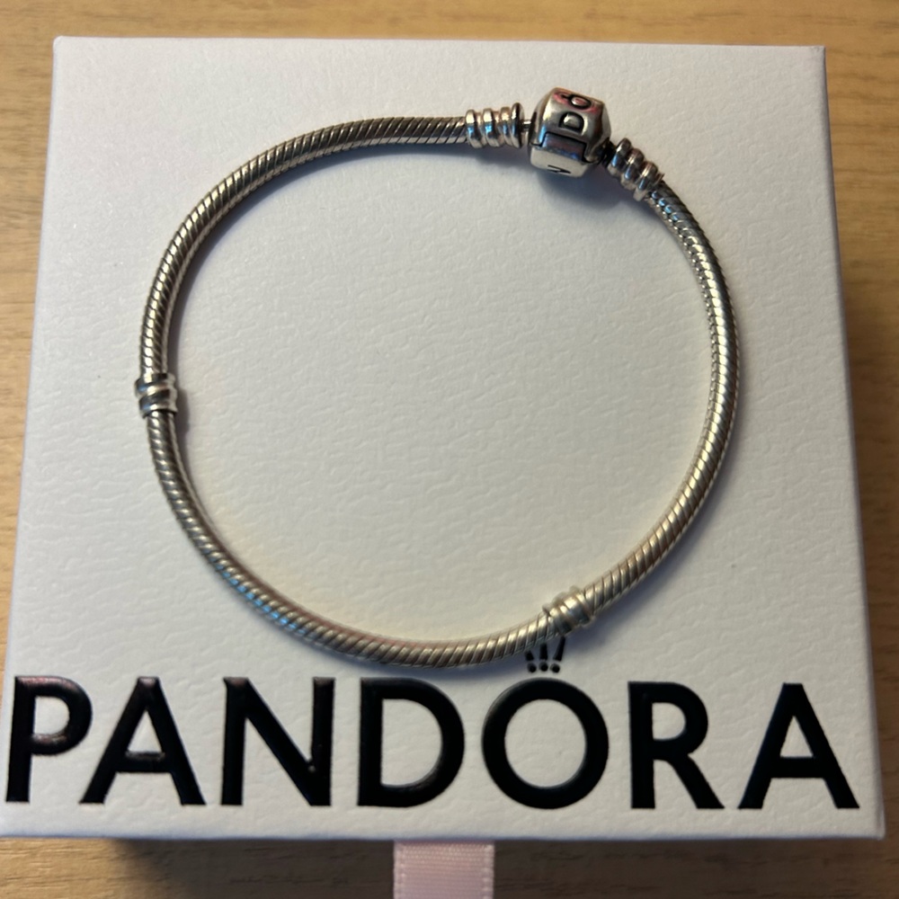 Pandora Moments Snake Chain Bracelet